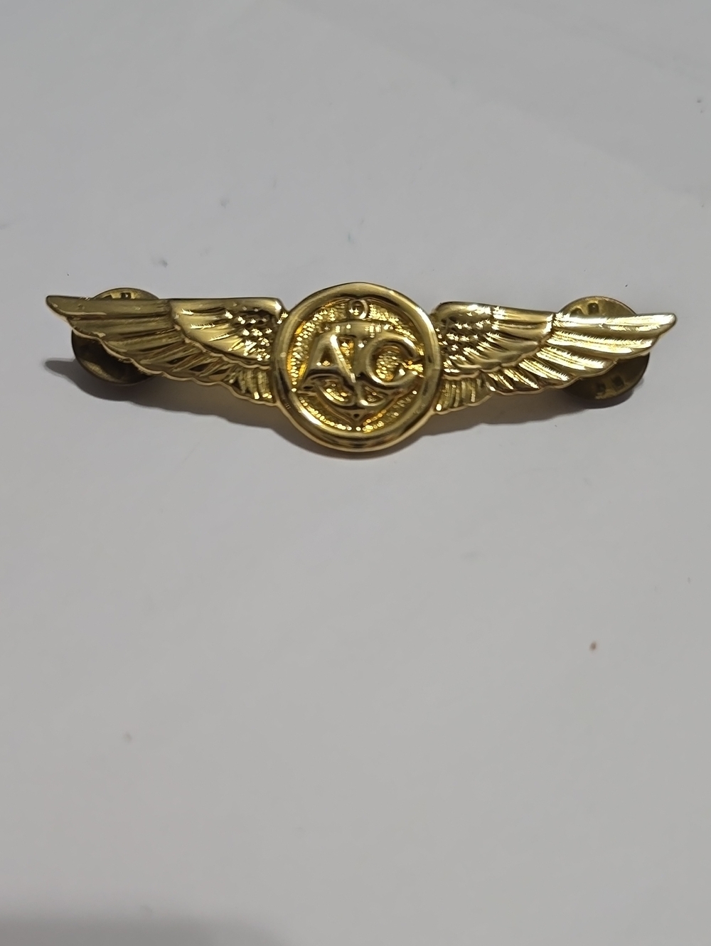 Air Crew Pin